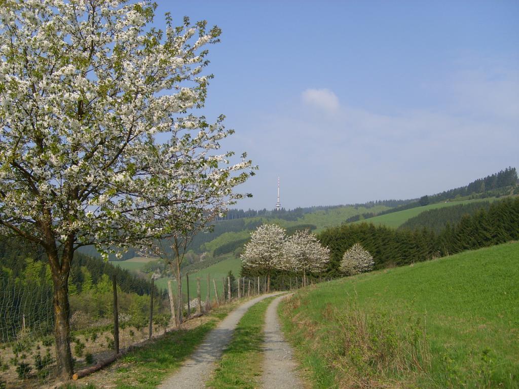 Landhaus Zum Sorpetal Schmallenberg Exterior foto