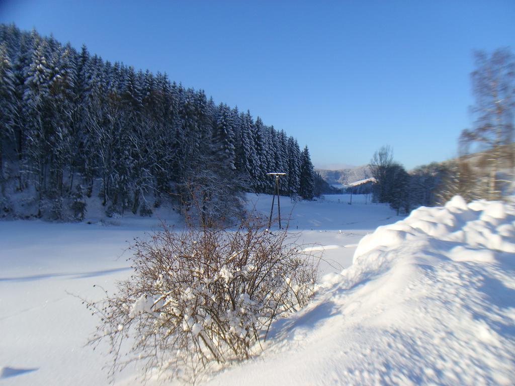 Landhaus Zum Sorpetal Schmallenberg Exterior foto